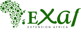 Extension Africa (EXaf) logo