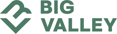 Big Valley logo